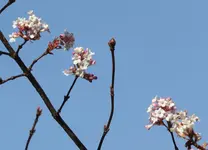 IMG_0363-a.webp