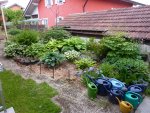 Schattenbeet 23.05.2015.jpg