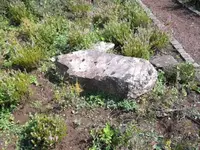 Bilda029.webp