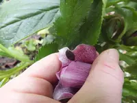 DSCF6607.webp
