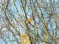 DSCF6438.webp