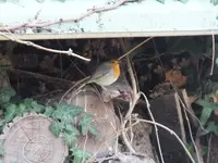 DSCF6753.webp
