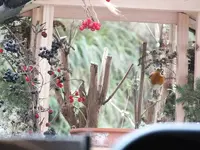 DSCF6514.webp
