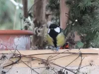 DSCF6525.webp