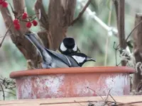 DSCF6530.webp
