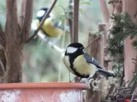 DSCF6532.webp
