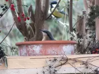 DSCF6527.webp