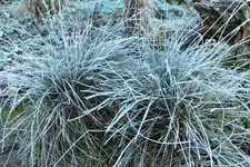 DSCF4811 (2).webp
