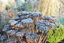 DSCF4854 (2).webp
