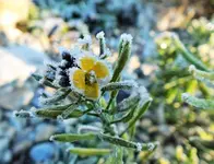 DSCF4853 (3).webp