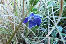 DSCF4856 (2).webp