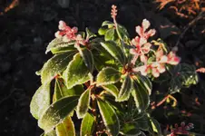 DSCF4863 (2).webp
