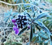 DSCF4870 (3).webp