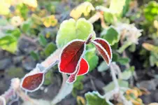 DSCF4872 (2).webp