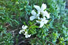 DSCF4867 (2).webp
