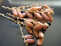 DSCN9848.webp