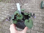 DSCF6552.JPG