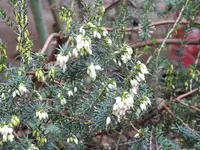 DSCF6620.webp