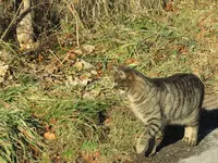 IMG_0769-a.webp