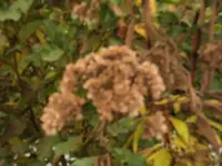 Bilda090.webp