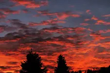 DSCF4841 (2).webp