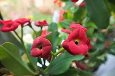 DSCF4878 (2).webp