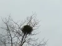 DSCF6070.webp