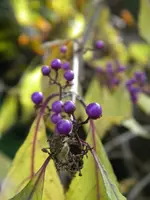 DSCN0230.webp