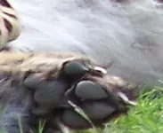 zoo4 - Kopie.webp