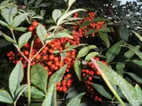 Bilda023.webp