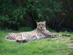 zoo4.jpg