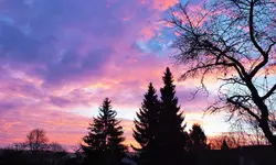 DSCF4873 (3).webp
