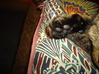 IMGP2860.webp
