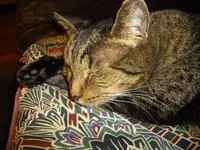 IMGP2856.webp