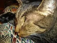 IMGP2857.webp