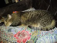 IMGP2859.webp