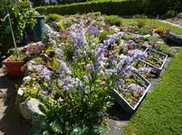 Alpinum 2008_06.07.2014.webp