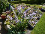 Alpinum 2008_06.07.2014.jpg