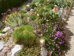 Ausschnitt Alpinum 2009_06.07.2014.jpg
