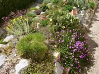 Ausschnitt Alpinum 2009_06.07.2014.webp