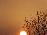 DSCF9347.webp