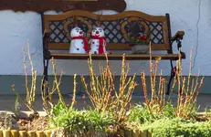 IMG_8430-a.webp