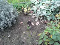 20151215_135638.webp