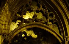 yellow (24).webp