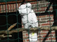 Bilda035.webp