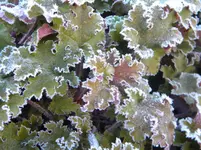 DSCN9802.webp