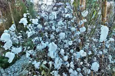 DSCF4865 (2).webp