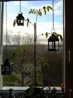 DSC00073.webp
