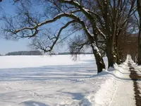 P1190748.webp