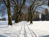 P1190783.webp